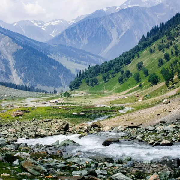 Kashmir